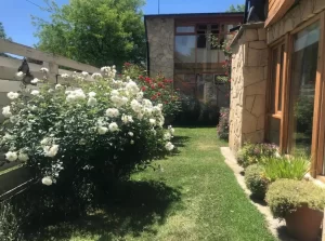 Hotel Antiguos patio