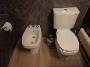Hotel del Viejo Esquiador baño 2