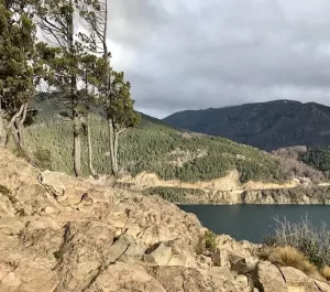 Lago Lácar (4)