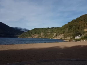Lago Lácar (6)