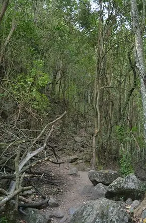 Reserva Natural La Cascada 10