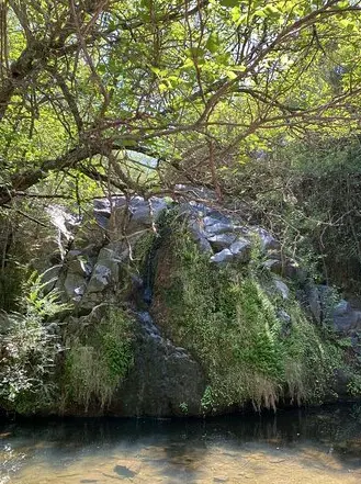 Reserva Natural La Cascada 11