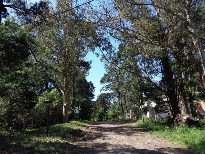 Bosque Peralta Ramos