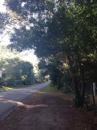 Bosque Peralta Ramos calle