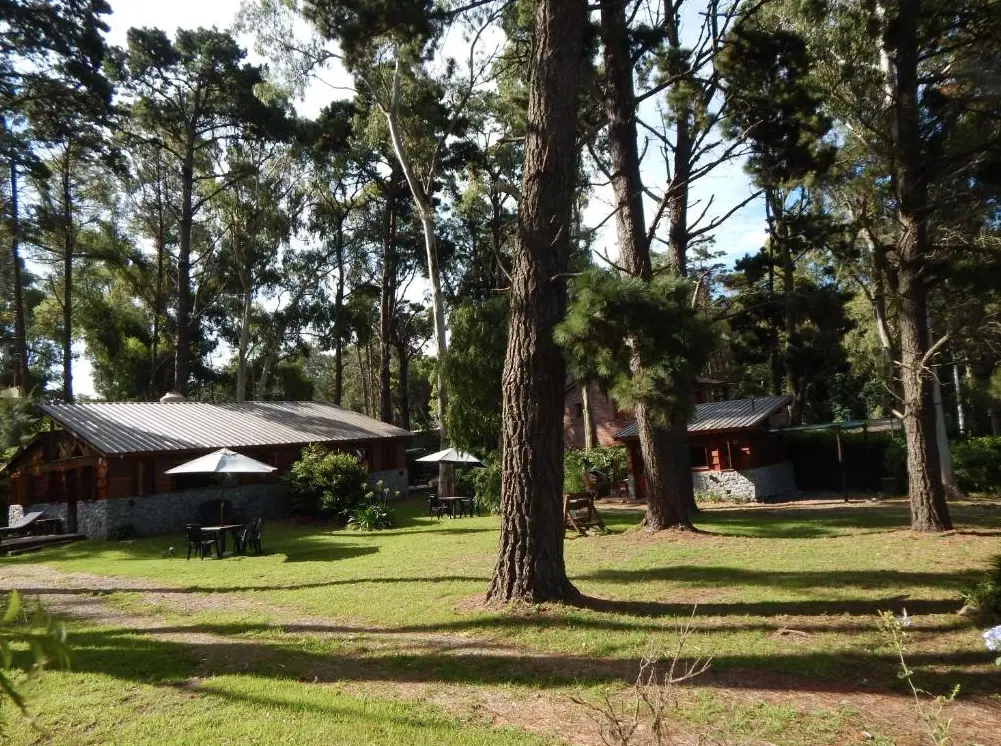 Bosque Peralta Ramos vista panorámica