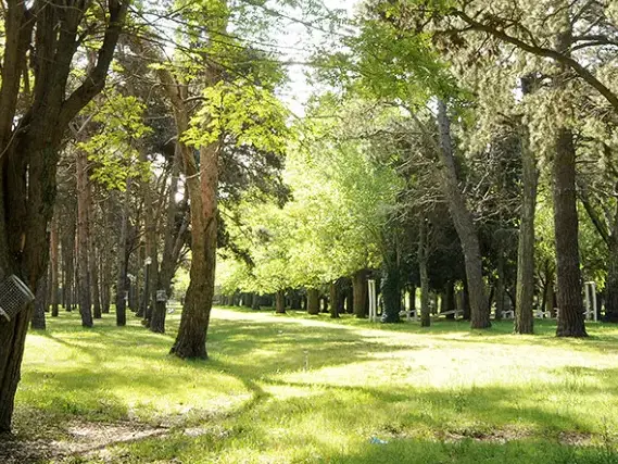 Camping Calasanz