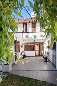 Hostel Sauce patio debajo del árbol