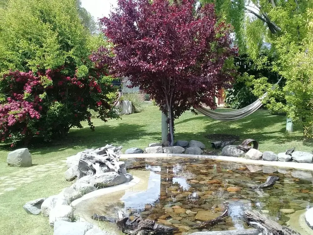 Cabañas La Chacra jardín con fuente