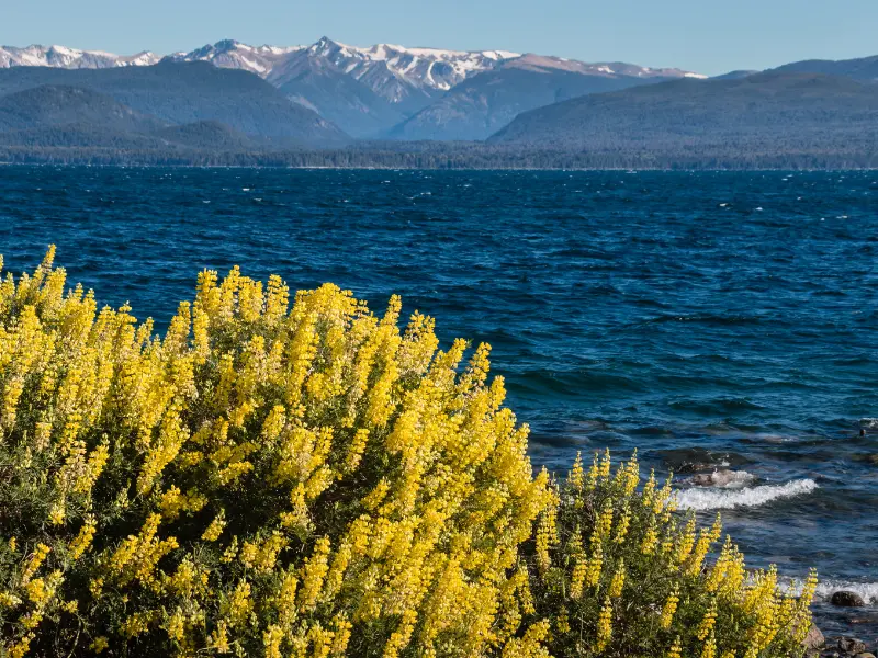 Lago Nahuel Huapi