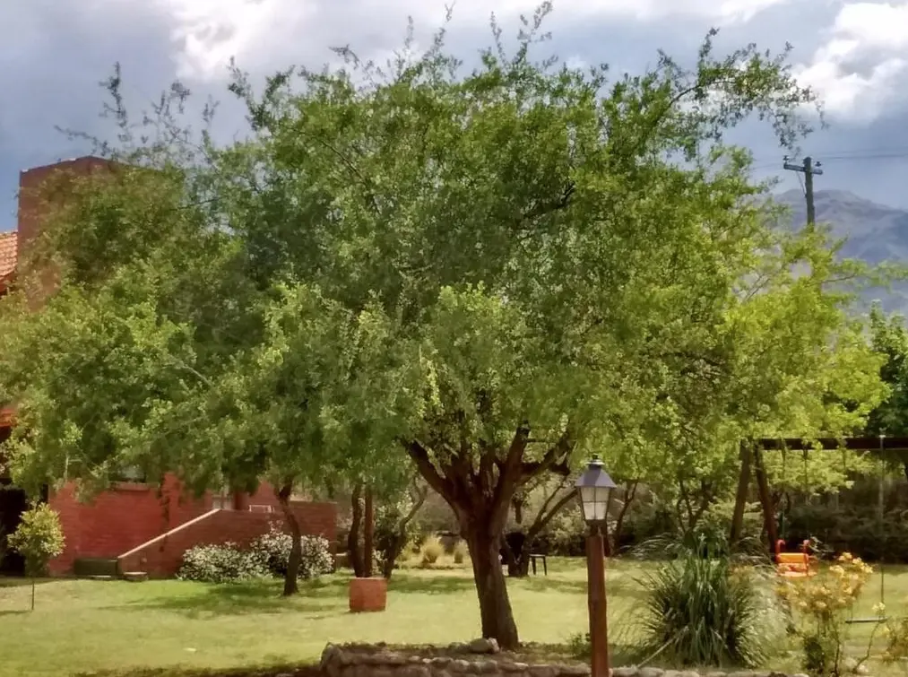 Cabañas Los Espinillos jardín
