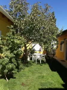 Departamentos Aimen Patagonia mesa del patio