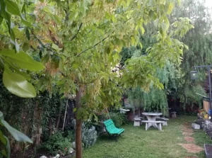 Departamentos Arabela jardín