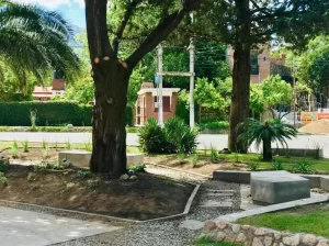 Hotel Paradiso árbol