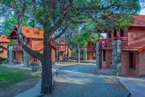 Hotel Villa Sol camino del jardín