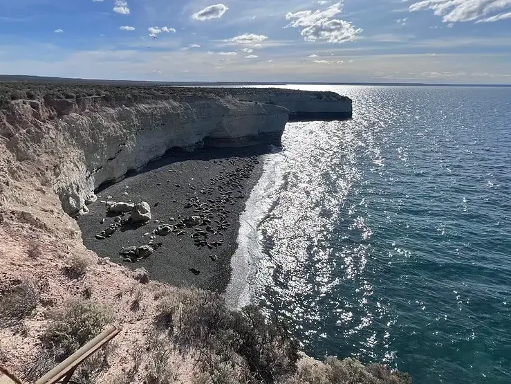 Reserva Lobería de Punta Loma