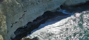 Reserva Lobería de Punta Loma