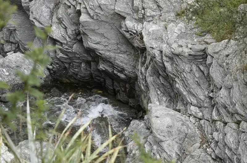 Reserva Rincón del Este