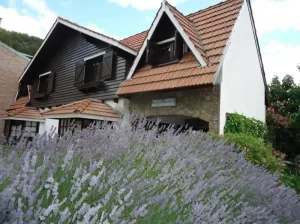 Aparthotel Rose Garden planta