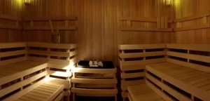 Aparthotel del Sauco sauna