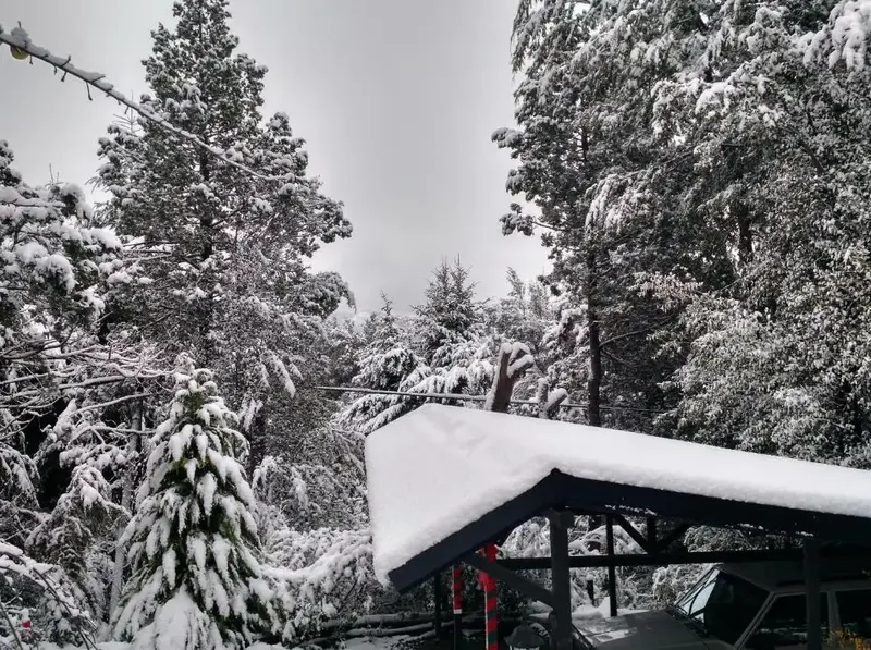 Cabañas Calen-Hue techo