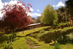Cabañas Villa Pañil camino