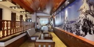 Hotel Concorde sillones