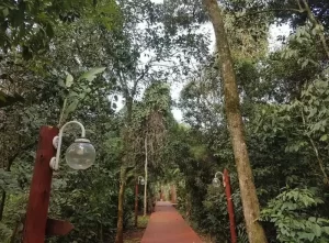 Hotel Don Horacio camino