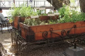 Los Jardines Rosario cantero