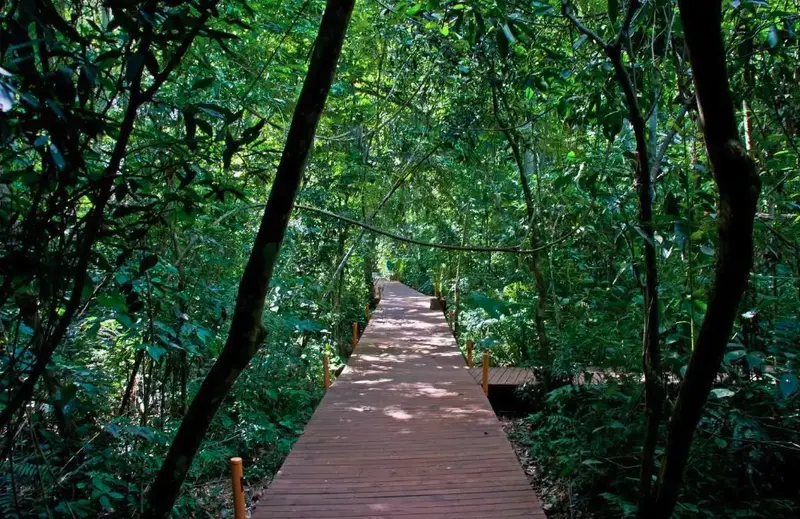 Cabañas Tierra Guaraní Lodge camino