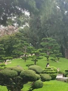 Jardín Japonés