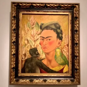 Museo Malba