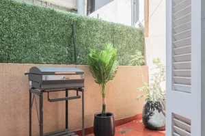 Casa Costa Rica 4900 asador