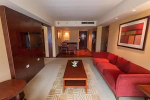 Hotel Sheraton Mendoza sillón