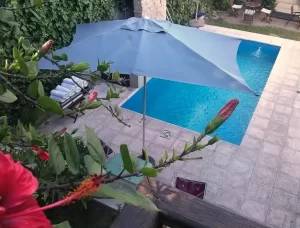 Hotel Bohemia pileta