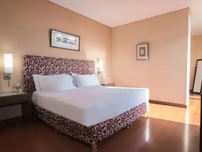 Hotel NH Mendoza Cordillera