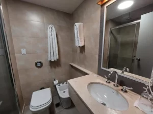 Hotel Raíces Aconcagua bacha